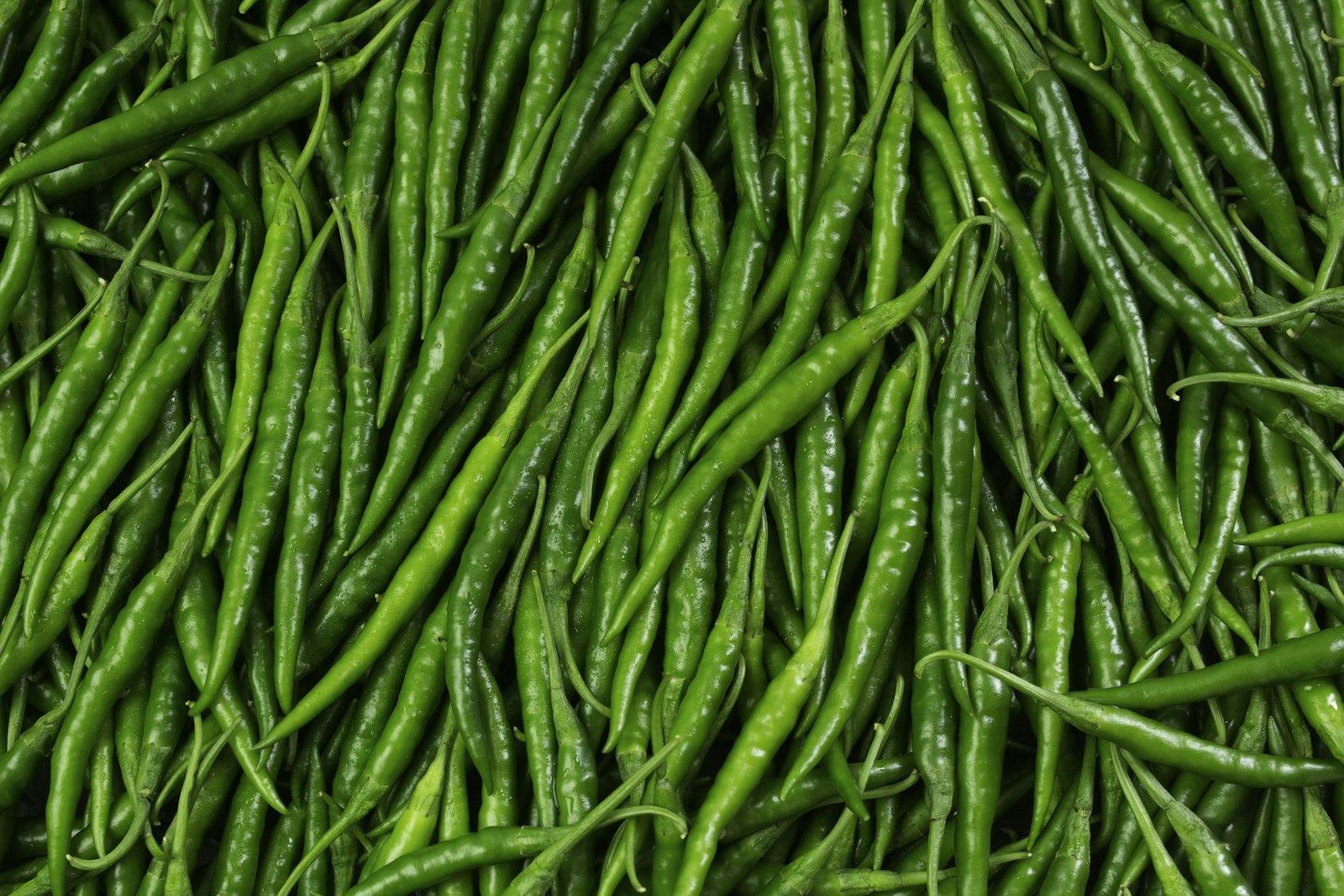 Fresh, slender Indian green chillies