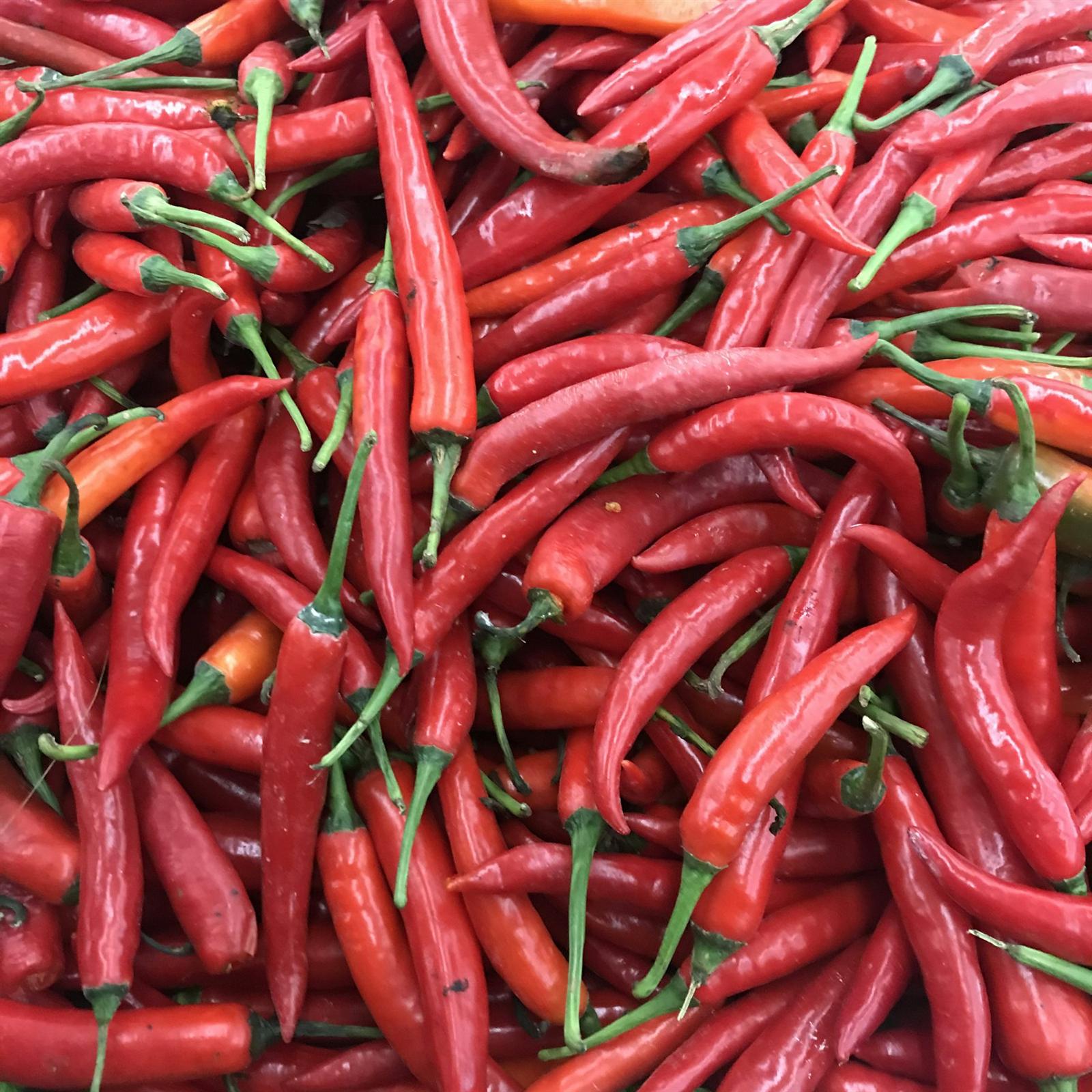 A heap of fresh, glossy red chillies
