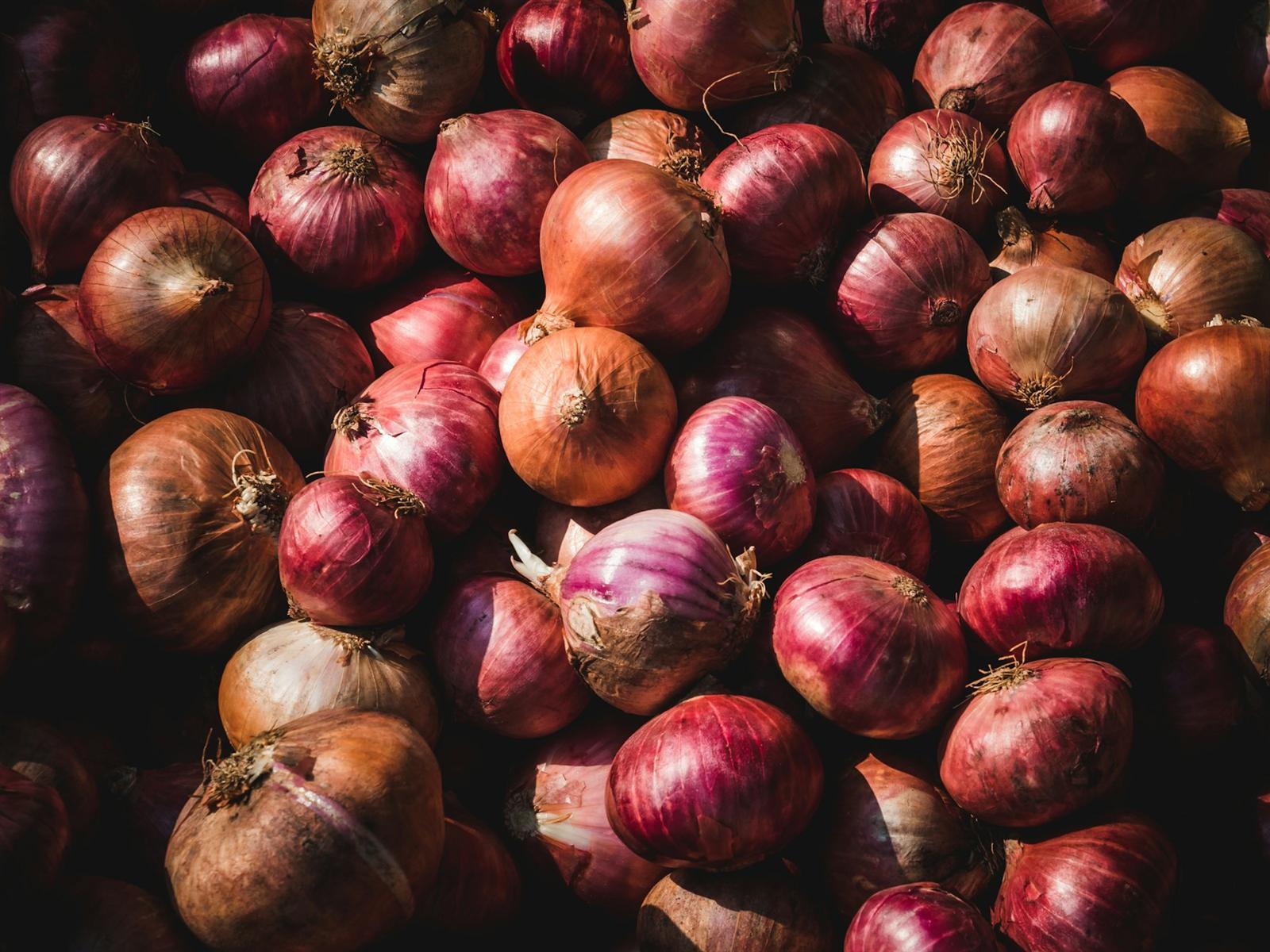 Freshly harvested red onions